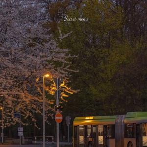 五个女法官的奶头被谁捏烂了
