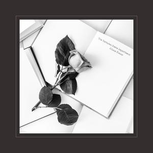 五个女法官的奶头被谁捏烂了
